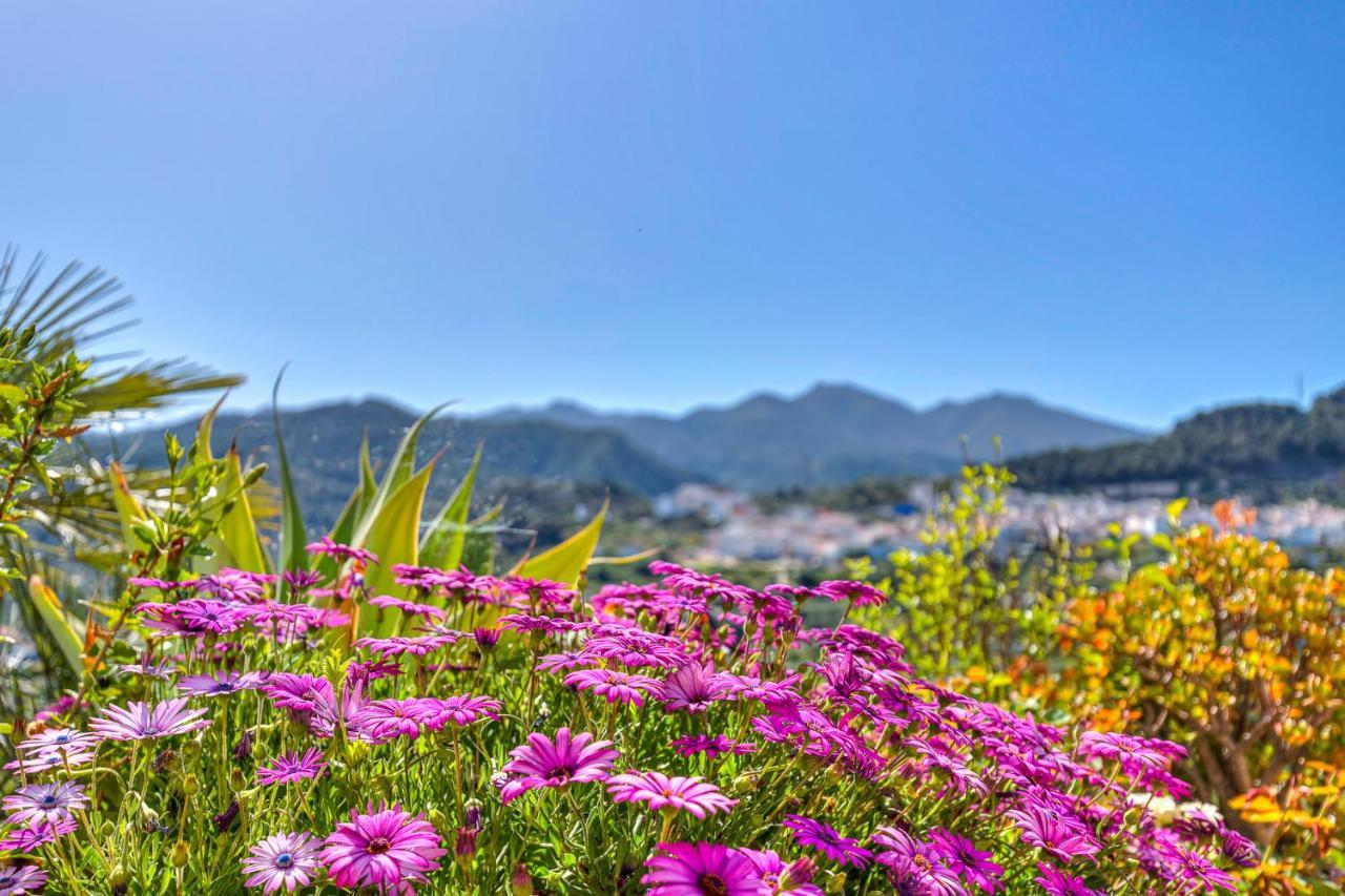 Monda Heights Close To Marbella エクステリア 写真